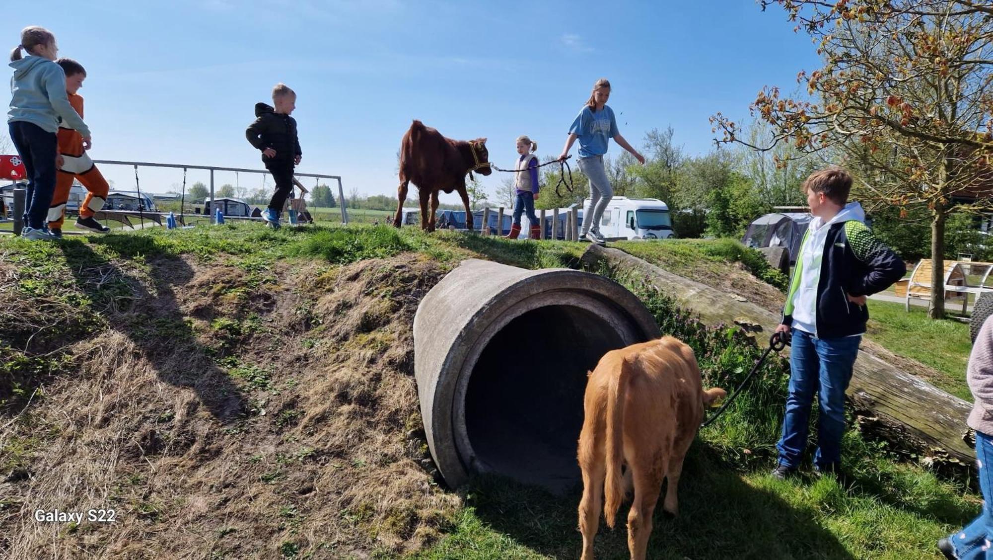 Willa De Broodkist Koudekerke Zewnętrze zdjęcie