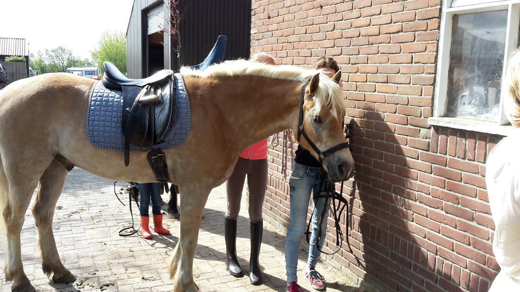 Willa De Broodkist Koudekerke Zewnętrze zdjęcie